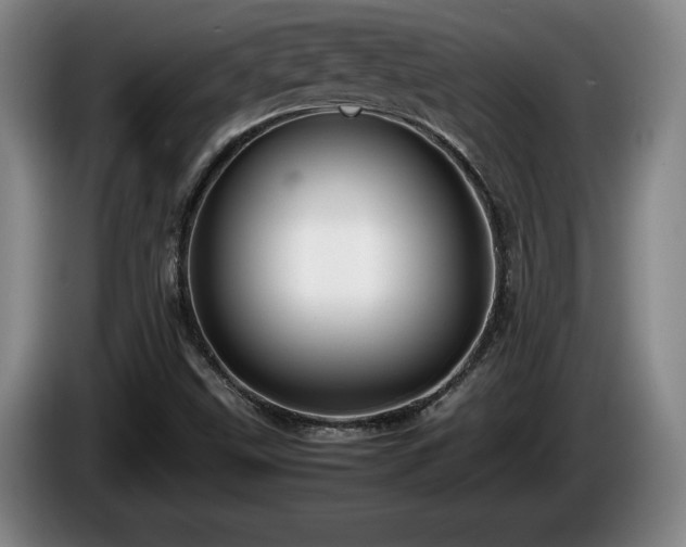 X0000086231499200704051145
