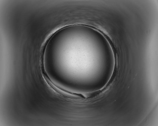 X0000086231500200704051145
