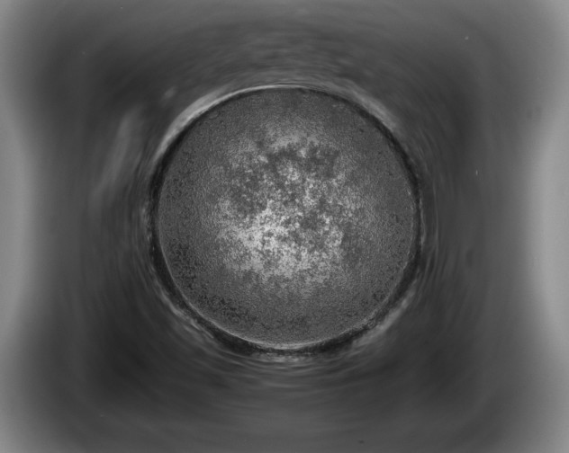 X0000086231501200704051145
