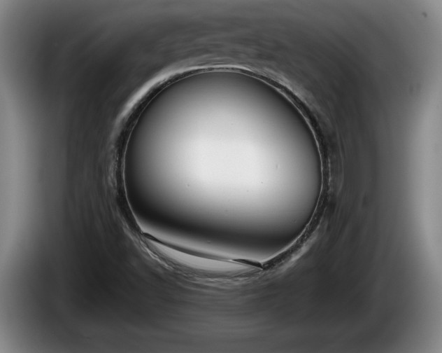 X0000086231502200704051145