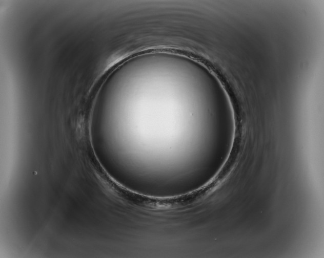 X0000086231505200704051145