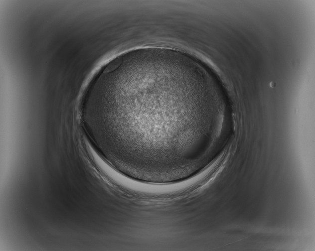 X0000086231506200704051145