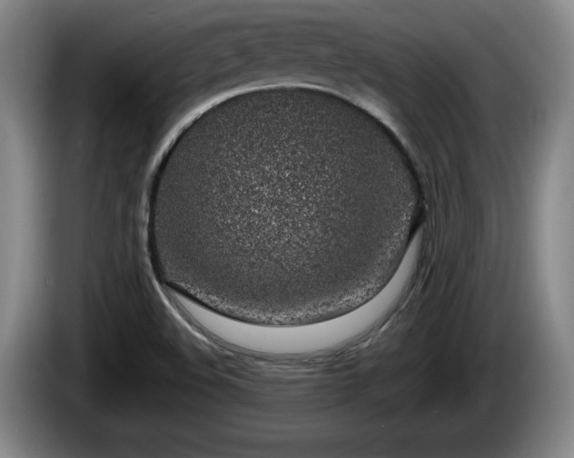X0000086231508200704051145
