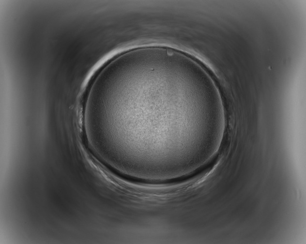X0000086231510200704051145