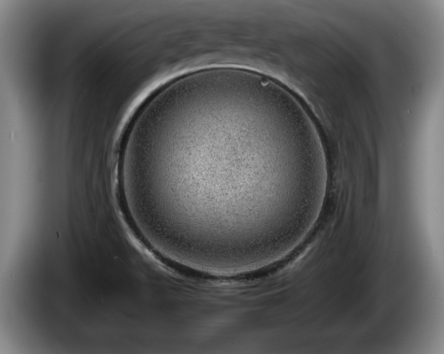 X0000086231511200704051145