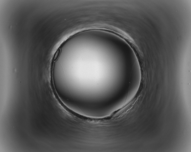 X0000086231512200704051145