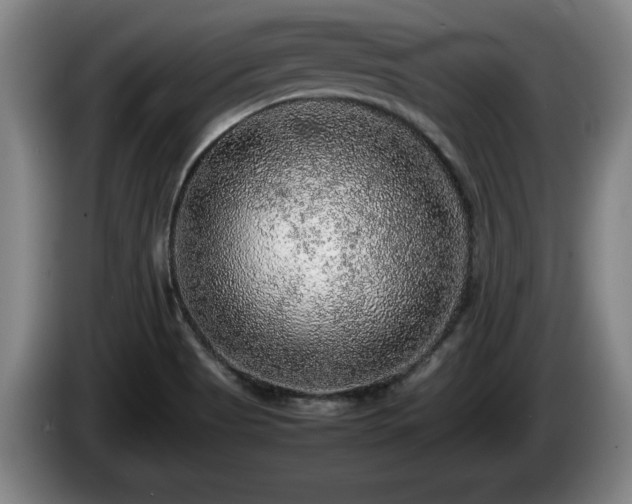 X0000086231513200704051145
