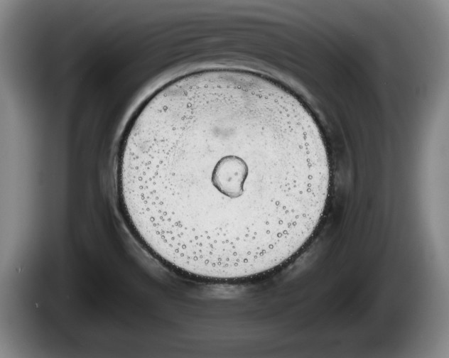 X0000086231514200704051145