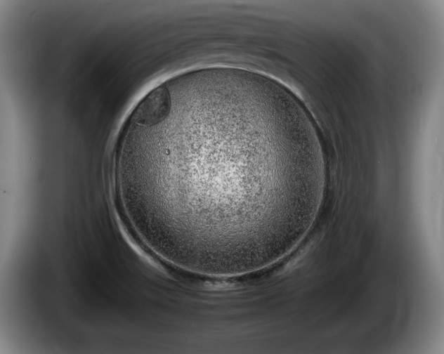 X0000086231515200704051145