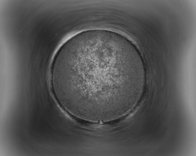 X0000086231517200704051145