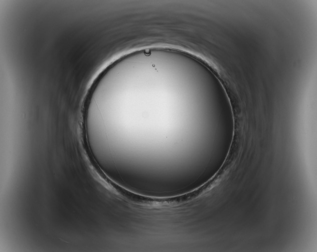 X0000086231518200704051145
