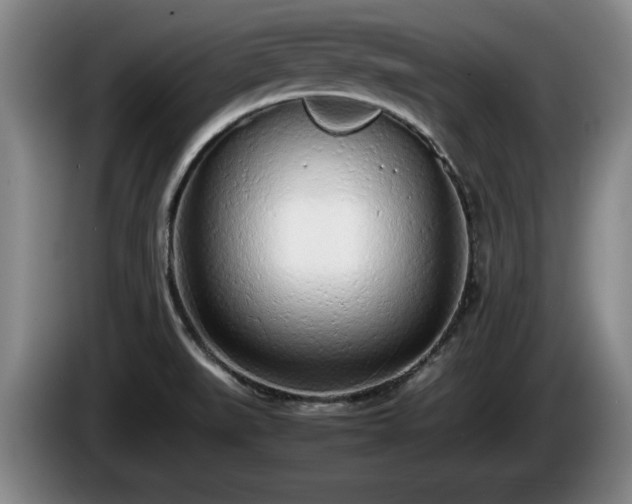 X0000086231519200704051145