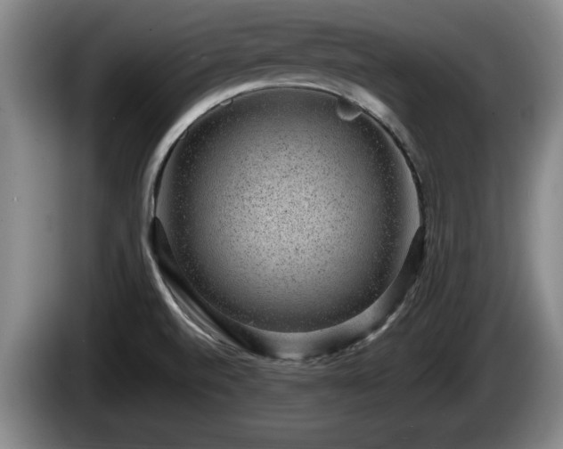 X0000086231520200704051145