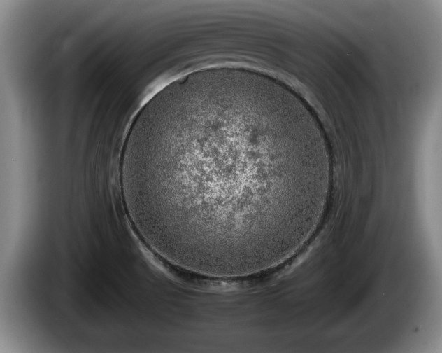 X0000086231521200704051145