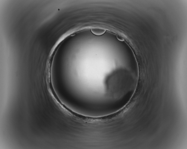 X0000086231522200704051145