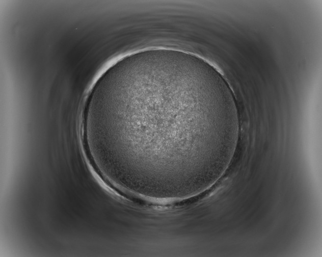 X0000086231523200704051145