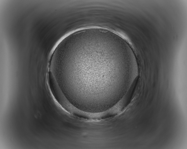 X0000086231524200704051145