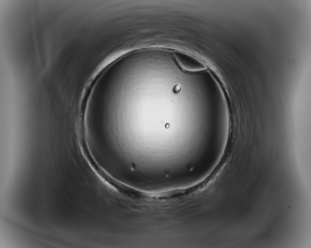X0000086231525200704051145