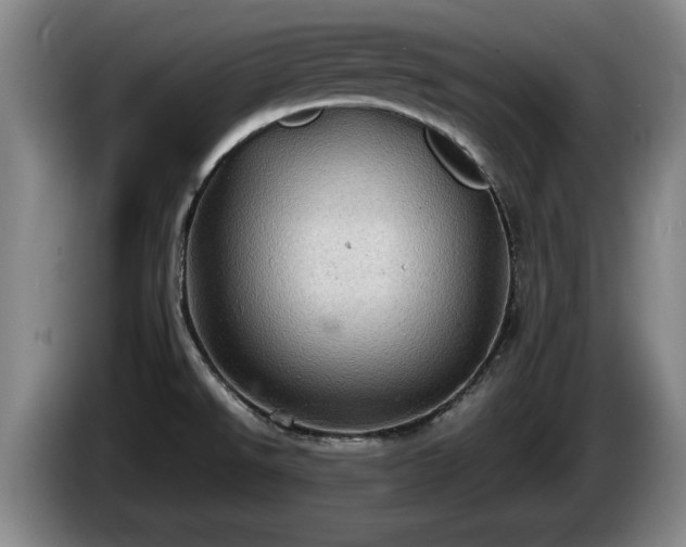 X0000086231526200704051145