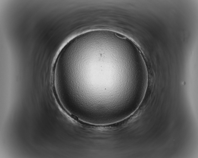 X0000086231527200704051145