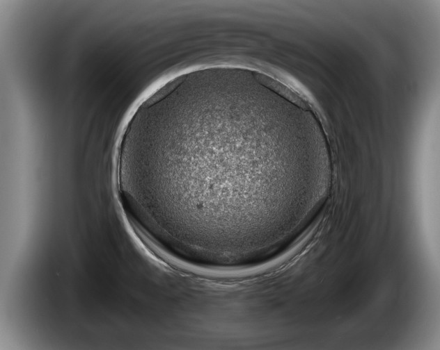 X0000086231528200704051145