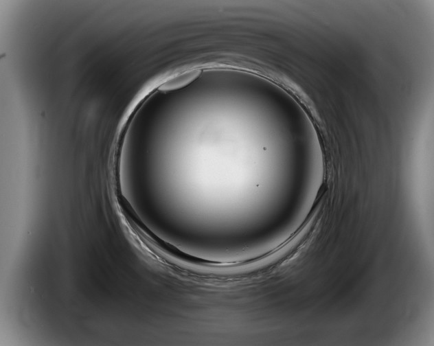 X0000086231530200704051145