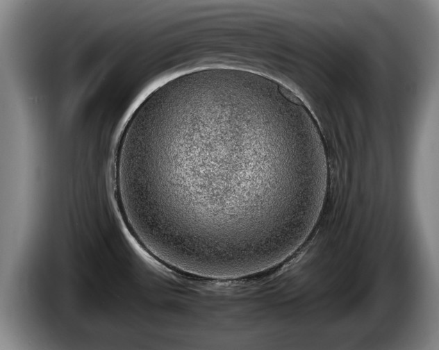 X0000086231531200704051145