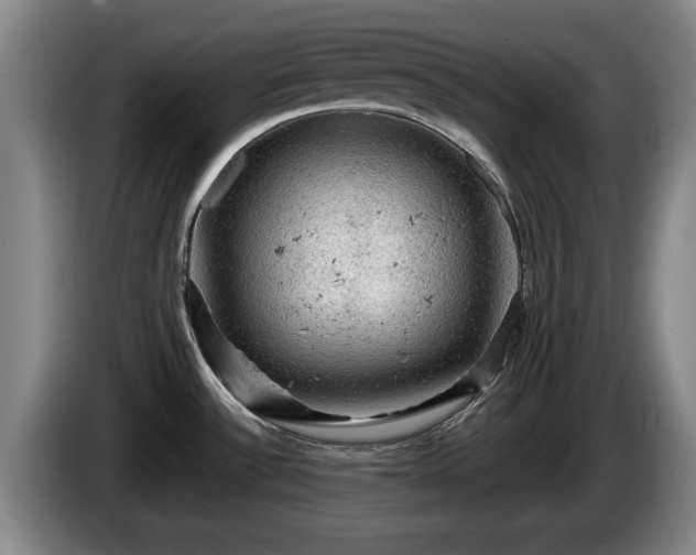 X0000086231532200704051145
