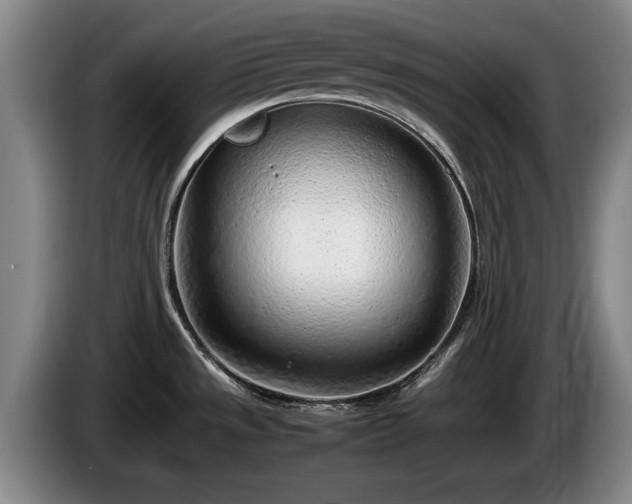 X0000086231533200704051145