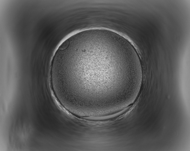 X0000086231534200704051145