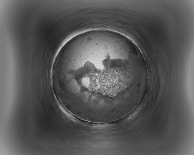 X0000086231535200704051145