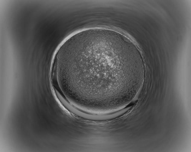 X0000086231536200704051145