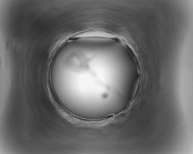 X0000086230001200704121924