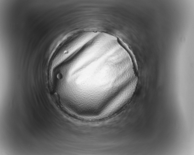 X0000086230002200704121924