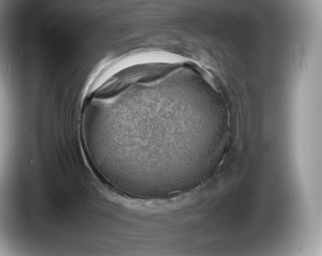 X0000086230003200704121924