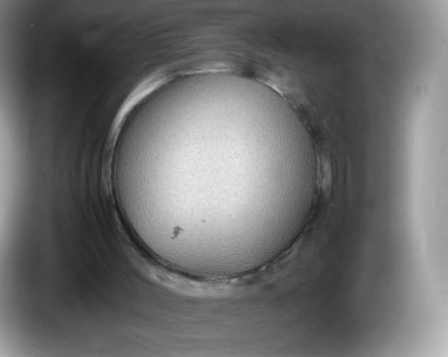 X0000086230004200704121924