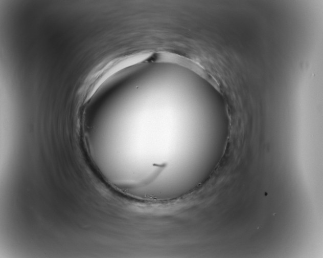 X0000086230005200704121924