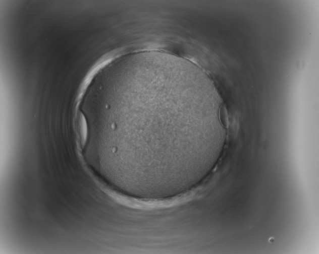 X0000086230006200704121924