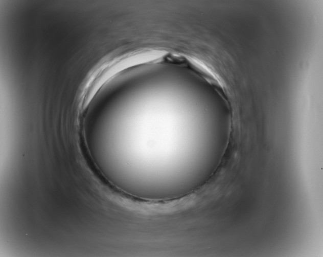 X0000086230007200704121924