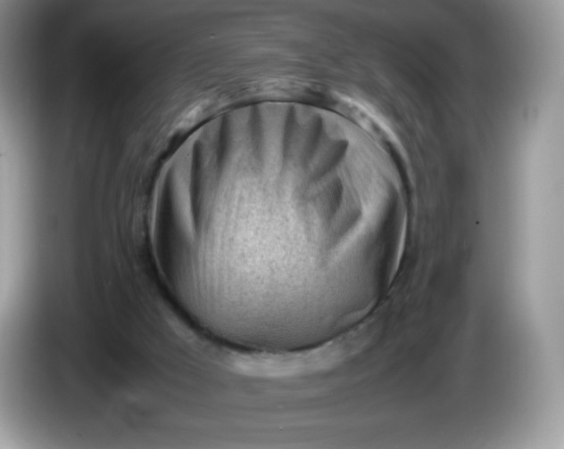 X0000086230009200704121924