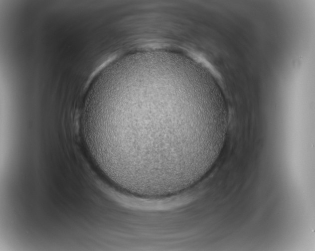 X0000086230010200704121924