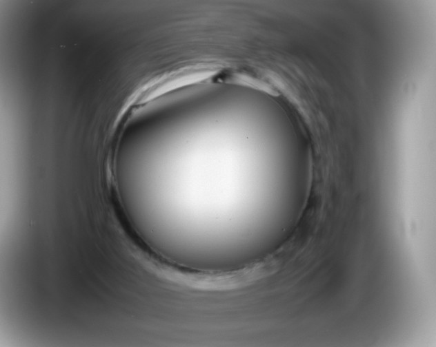 X0000086230011200704121924