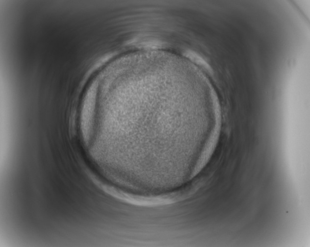 X0000086230012200704121924