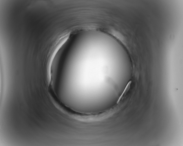 X0000086230013200704121924