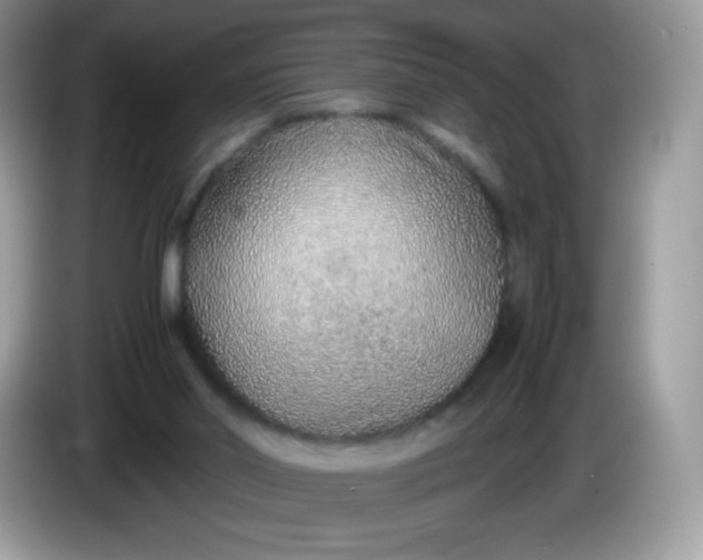 X0000086230014200704121924