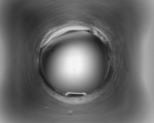 X0000086230015200704121924