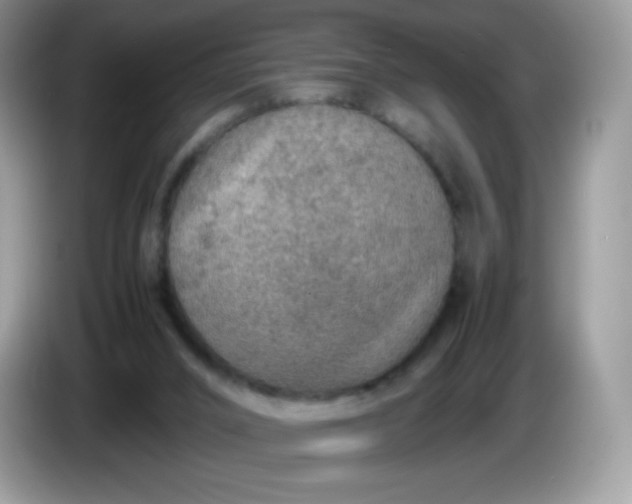 X0000086230016200704121924