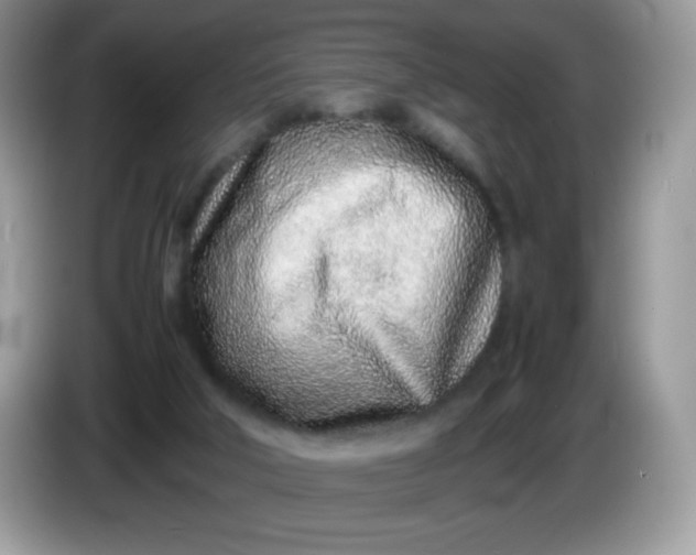 X0000086230018200704121924