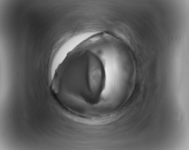 X0000086230019200704121924