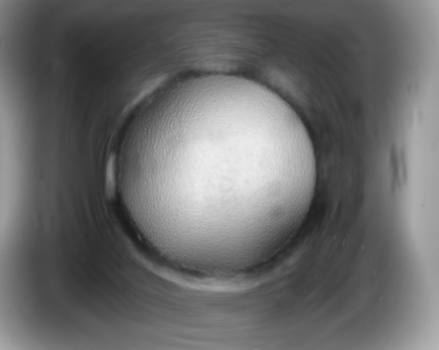 X0000086230020200704121924